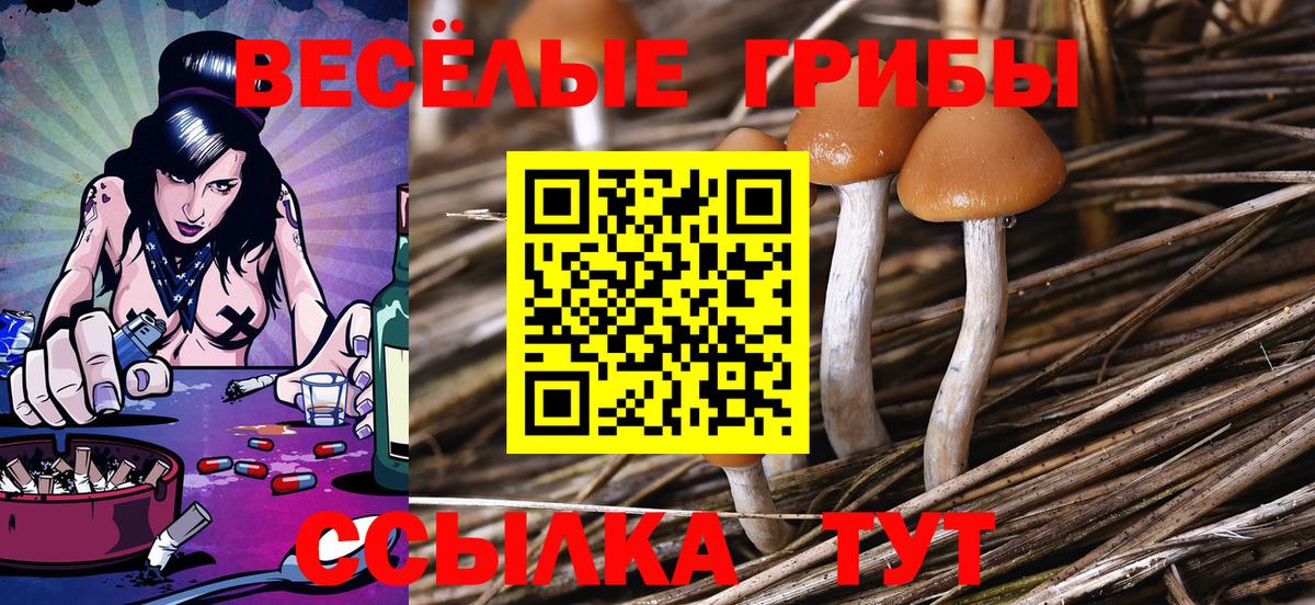 Галлюциногенные грибы мицелий  Галлюциногенные грибы ЛСД  Вход с VPN  Каменск-Уральский 