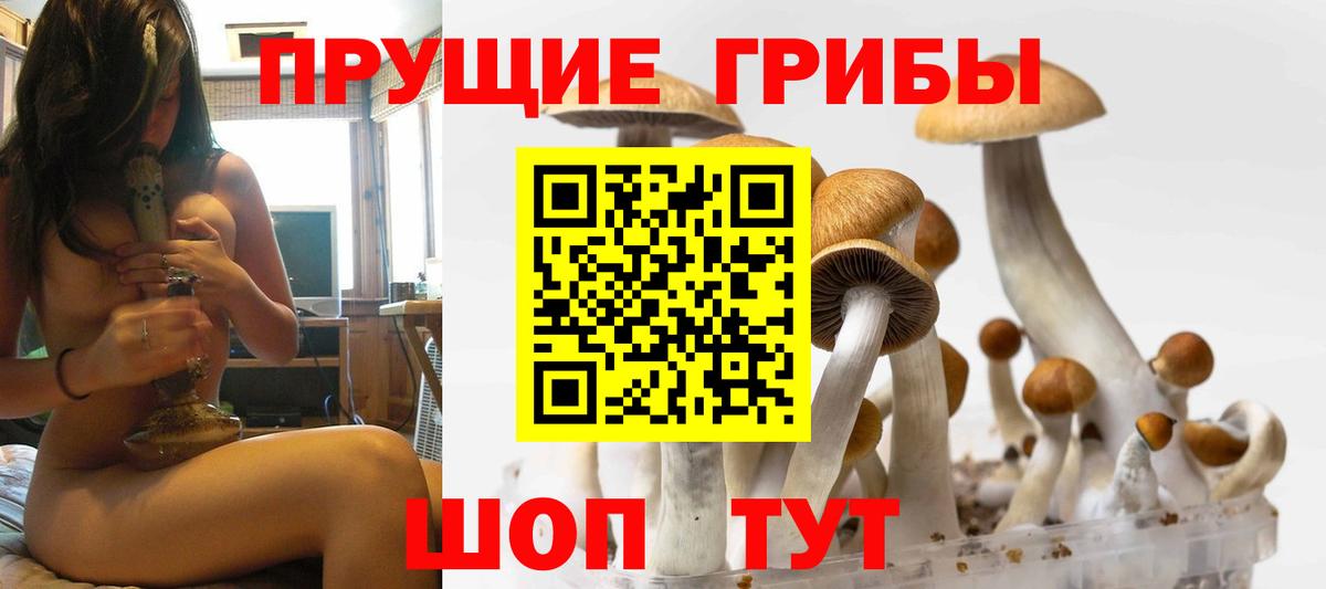 Галлюциногенные грибы прущие грибы Каменск-Уральский