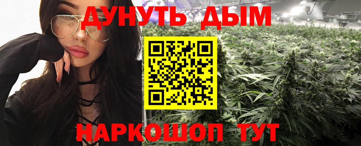 Канабис сатива  Вход с VPN  Бошки марихуана Bruce Banner  Каменск-Уральский  Каннабис планчик 